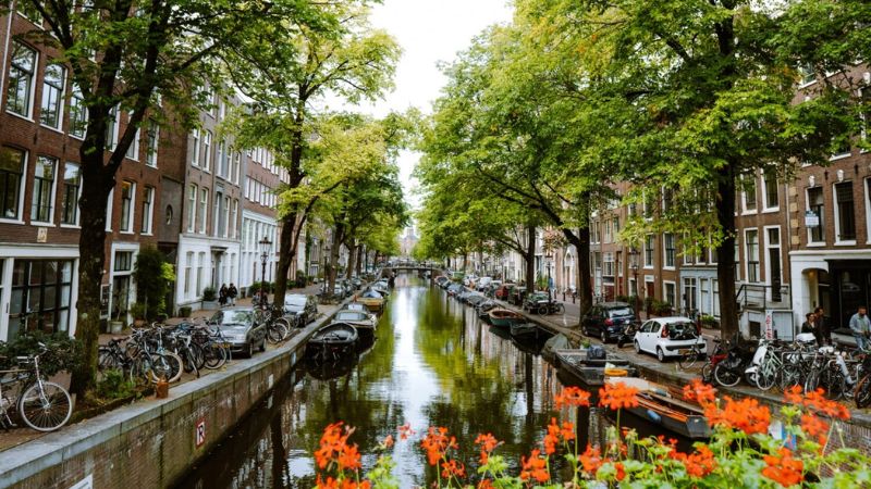 Turkish Airlines Amsterdam Office in Netherlands