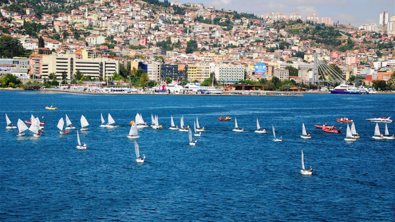 Turkish Airline Kocaeli Office in Turkey