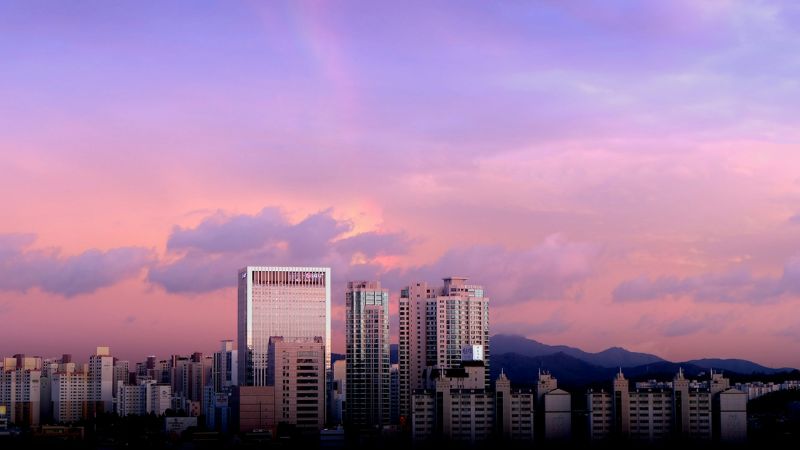 Air Niugini Seoul Office in Korea