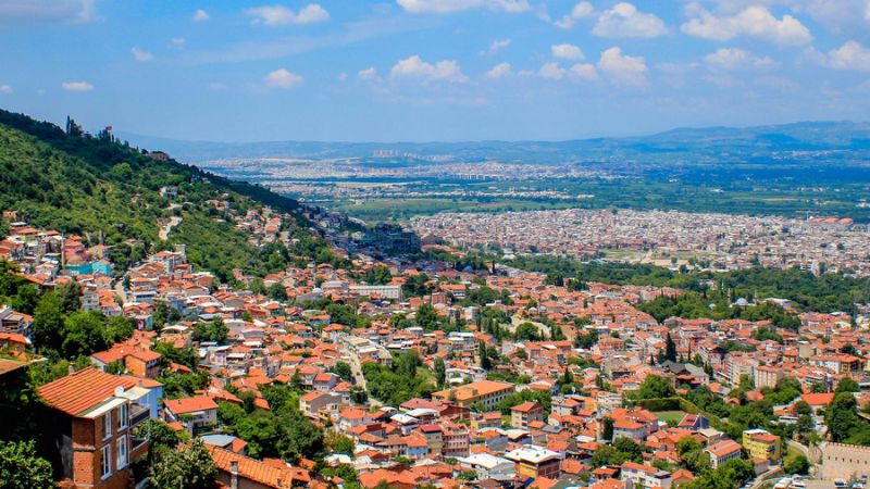 Bursa